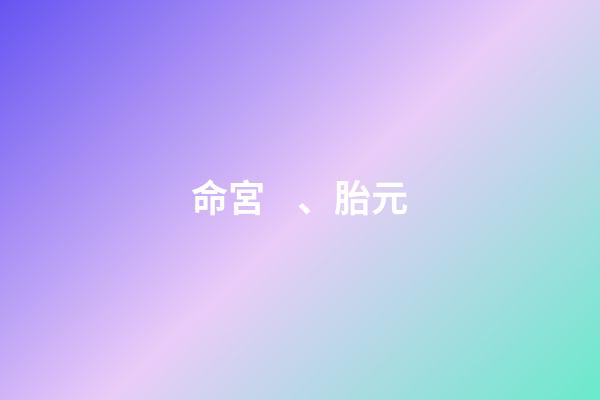 命宮、胎元